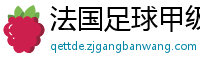 法国足球甲级联赛